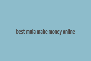 best mula make money online