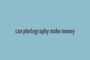 can photography make money