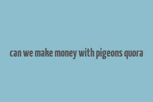 can we make money with pigeons quora