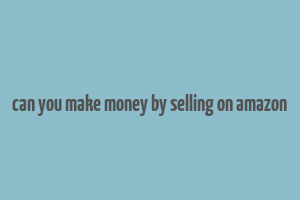 can you make money by selling on amazon