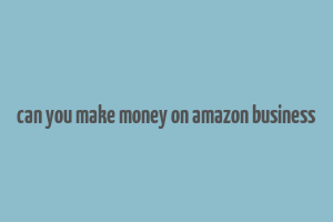 can you make money on amazon business