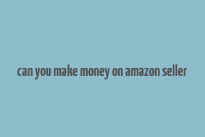 can you make money on amazon seller