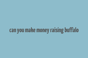 can you make money raising buffalo