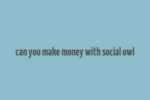 can you make money with social owl