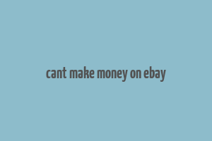 cant make money on ebay