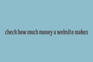 check how much money a website makes