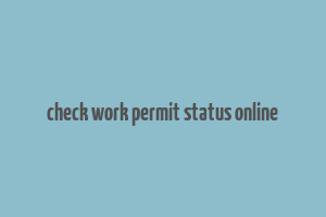 check work permit status online