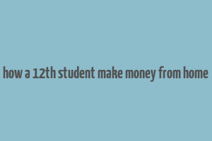 how a 12th student make money from home