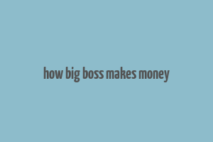 how big boss makes money