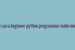 how can a beginner python programmer make money