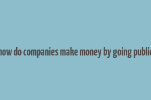 how do companies make money by going public