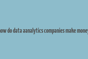 how do data aanalytics companies make money