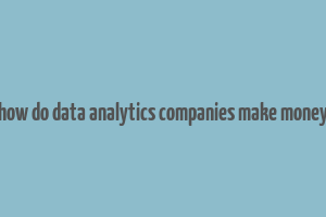 how do data analytics companies make money