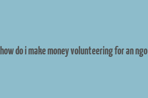 how do i make money volunteering for an ngo