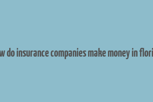 how do insurance companies make money in florida