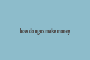 how do ngos make money