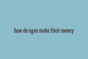 how do ngos make their money