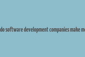 how do software development companies make money