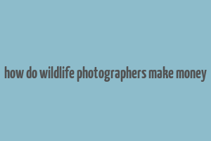 how do wildlife photographers make money