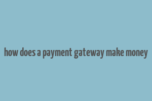 how does a payment gateway make money