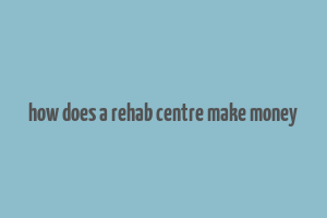 how does a rehab centre make money