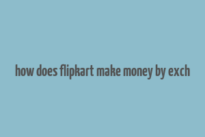 how does flipkart make money by exch