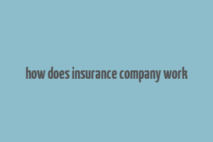 how does insurance company work