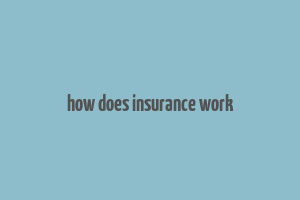 how does insurance work