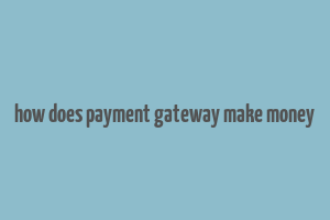 how does payment gateway make money