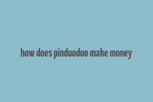 how does pinduoduo make money