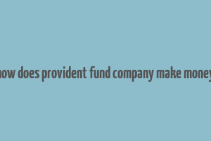 how does provident fund company make money