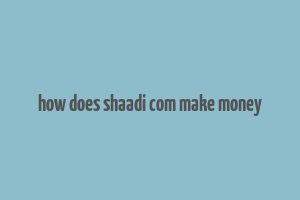 how does shaadi com make money