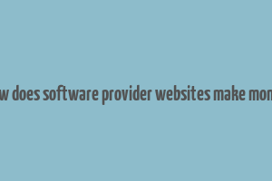 how does software provider websites make money