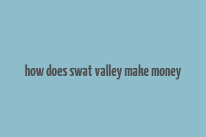 how does swat valley make money