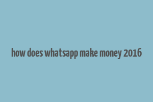 how does whatsapp make money 2016