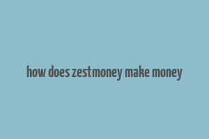 how does zestmoney make money