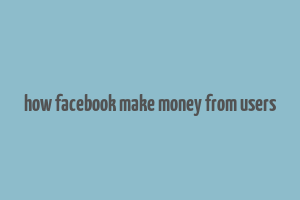 how facebook make money from users