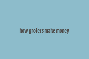 how grofers make money