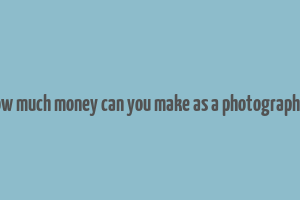 how much money can you make as a photographer