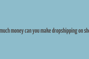 how much money can you make dropshipping on shopify