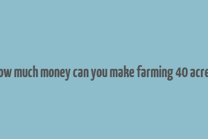 how much money can you make farming 40 acres