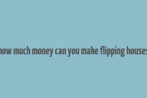 how much money can you make flipping houses