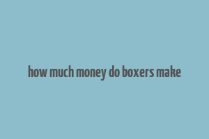 how much money do boxers make