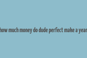 how much money do dude perfect make a year