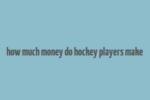 how much money do hockey players make