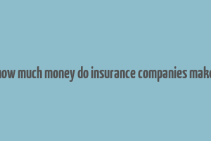 how much money do insurance companies make