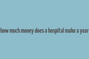 how much money does a hospital make a year