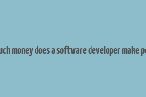 how much money does a software developer make per year