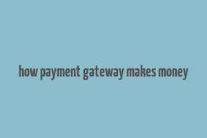 how payment gateway makes money