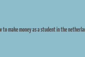 how to make money as a student in the netherlands